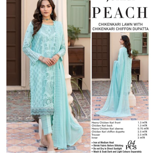 PEACH (CHICKEN KARI) By Johra JH-179